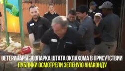 Измерение удава