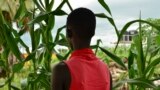 FILE - Eliza, 17, who at age 13 was forced by her father to marry a 35-year-old man from their village in exchange for 50 cattle, stands next to crops in a courtyard in the town of Rumbek, South Sudan, July 30, 2017.