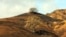 In this Nov. 22, 2018, photo, two oak trees stand on a rain-soaked, burned-over hillside following the Woolsey Fire in Agoura Hills, California.