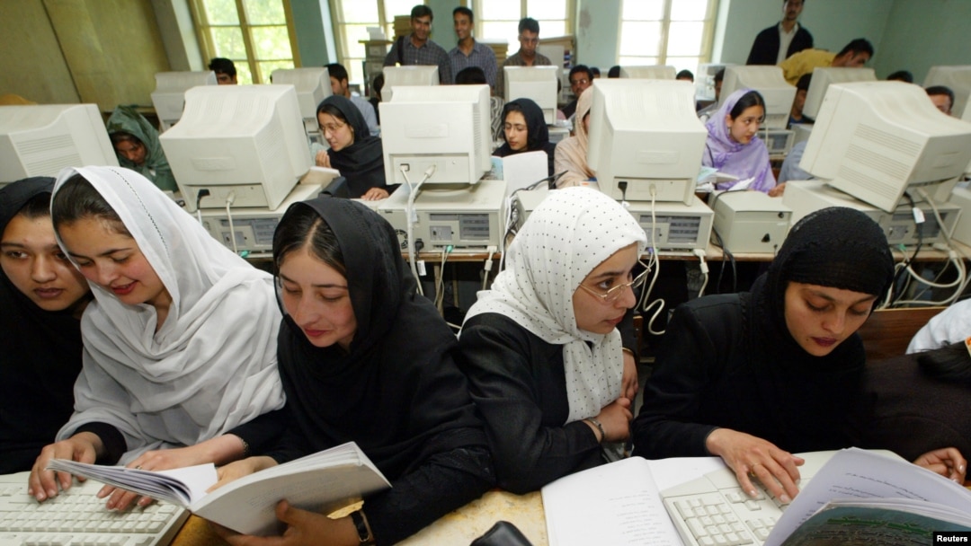 محصلین پوهنتون حین آموزش