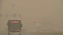 研究人員稱空氣污染導致每年550多萬人過早死亡