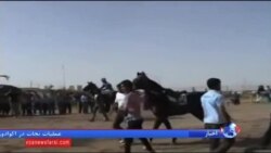 ایران عضو "باشگاه مسابقات اسب عربی" شد