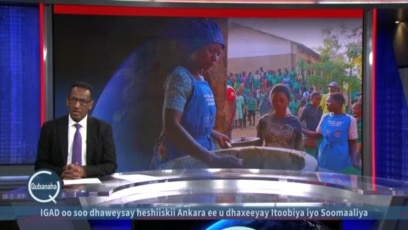 Hindisaha cusub ee beeraleyda Malawi 