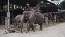 COVID Thailand Migrants Aid -- USAGM