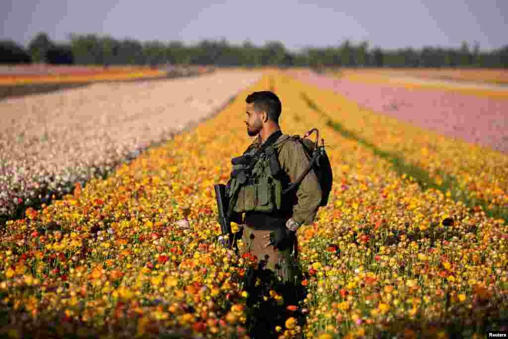 An Israeli soldier walks in a field of buttercup flowers near Kibbutz Nir Yitzhak in southern Israel, just outside the Gaza Strip, April 12, 2021.