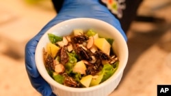 เมนูจักจั่นที่เสิร์ฟพร้อมผักและเครื่องปรุง โดยฝีมือของแซค เลแมนน์ ภัณฑารักษ์ประจำโรงเลี้ยงแมลงออโดบอน เมืองนิวออร์ลีน รัฐหลุยเซียนา (ที่มา: AP)
