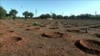 Morocco’s Government Partners with Civil Society Groups to Reforest the Land