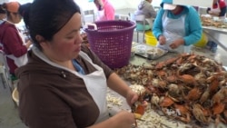 Shortage of Foreign Workers Hurts Maryland Crab Business