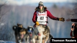 FILE - FILE PHOTO: Norwegian musher Joar Leifseth Ulsom heads up the first hill out of the start chute during the official restart of the Iditarod dog sled race in Willow, Alaska, March 2, 2014. 