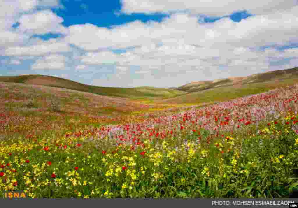 دشت چهچه در کلات مشهد