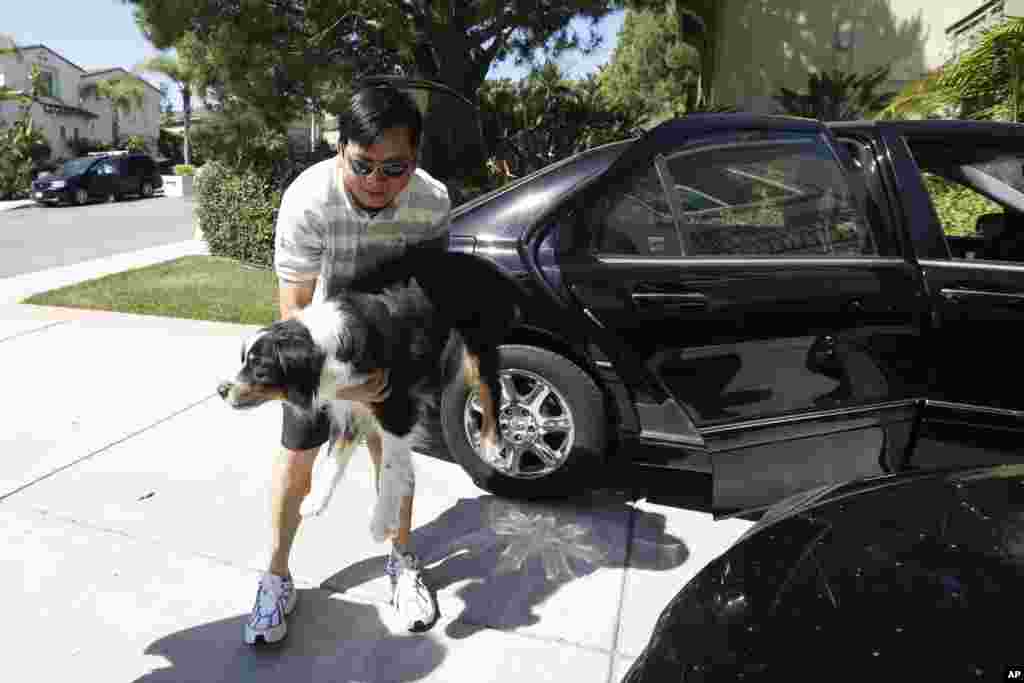 Midi Teng carries the family dog, Pup, out of the car as he arrives home from wildfire evacuations in Carlsbad, California, May 16, 2014.
