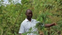 Leonard Zouré "la destruction de cette forêt ne se justifie pas"