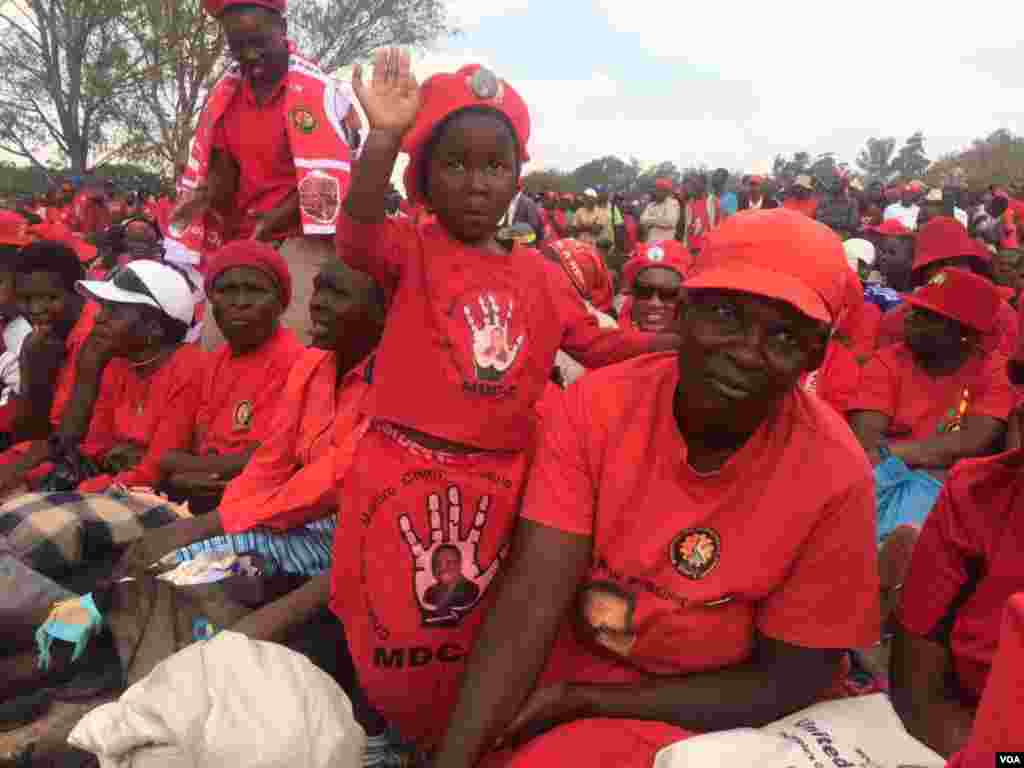 MDC Alliance supporters