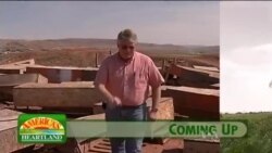 Buenos Días América 