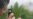 Study: Cannabis Component May Treat Psychosis