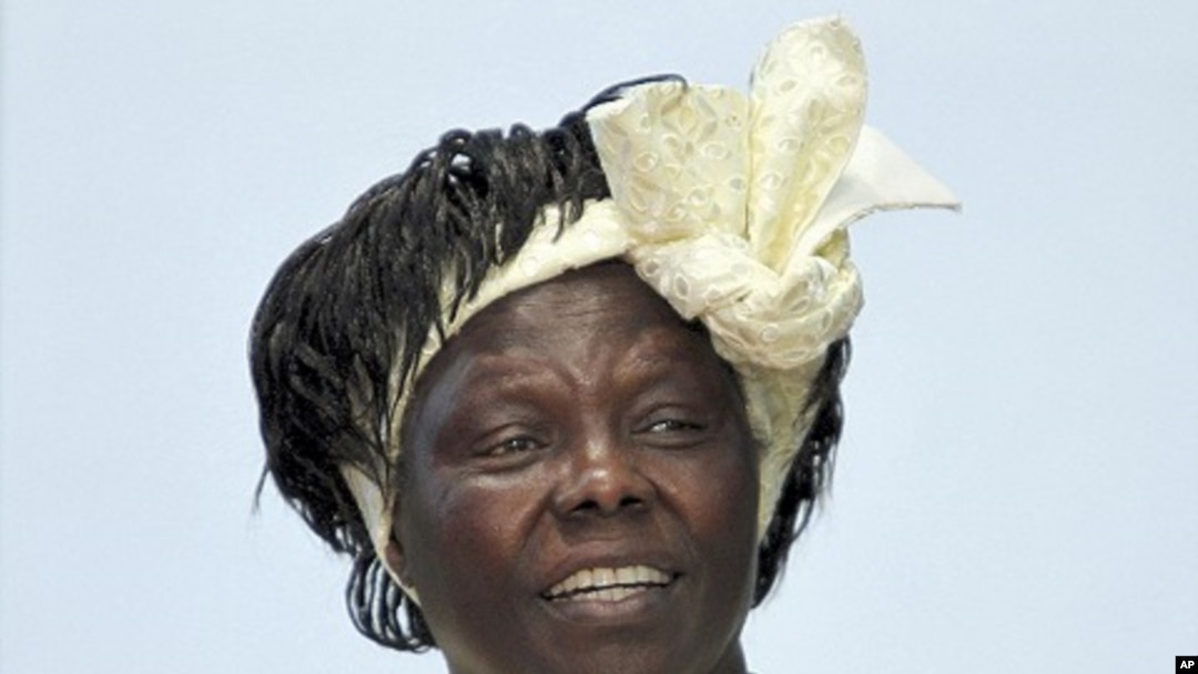 Nobel Peace Prize laureate Wangari Maathai participates in a discussion at the University of Nairobi in the Kenyan capital Nairobi, March 8, 2010.
