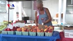 Farmers Market Without Prices Thrives on the Honor System