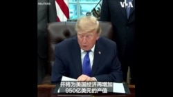 特朗普总统宣布美国史上最大钢铁厂计划