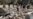 Saudi-led Coalition to Probe Yemen Funeral Airstrike