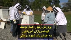 پرورش زنبور عسل توسط کهنه‌سربازان آمریکایی به عنوان یک شیوه درمانی