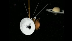 Cassinia Saturn Mission