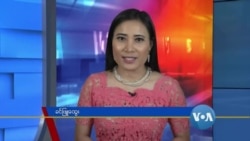 နေ့စဉ် တီဗွီသတင်းလွှာ (၁၀-၀၆-၂၀၂၀)