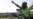 Miners to Launch South Africa's Largest-Ever Class Action Suit