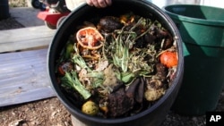 FILE - About a third of food produced around the world is spoiled after harvest and during transportation, or thrown away by shops and consumers. (Rosanne Skirble/VOA)