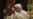 Pope Benedict Calls for Peace in Troubled Regions