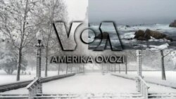 Amerika Manzaralari: G’arb va Rossiya, prezidentlar yoshi, banjo