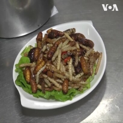 Thực phẩm dinh dưỡng từ sâu bột