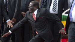 ZimPlus: Mugabe Nearly Tumbles At India-Africa Summit
