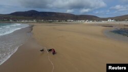 A woman walks her dogs along Dooagh beach after a storm returned sand to it, 30 years after another storm had stripped all the sand off the beach, on Achill island, County Mayo, Ireland, May 5, 2017. (Sean Molloy/Achill Tourism via Reuters) 