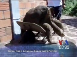 Kilas VOA 26 Juni 2012