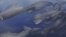 A pod of Albicetus, meaning "white whale," travel together through the Miocene Pacific Ocean, surfacing occasionally to breathe in this artist's rendering released to Reuters, Dec. 8, 2015. 