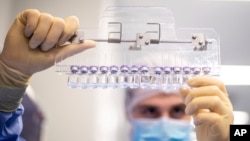 In this March 2021 photo provided by Pfizer, a technician inspects filled vials of the Pfizer-BioNTech COVID-19 vaccine at the company’s facility in Puurs, Belgium.