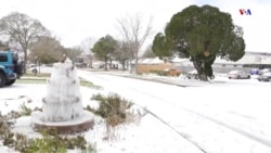 Թեքսասում ձյան տեղումներ են գրանցվել, ինչը հազվագյուտ է հարավային այս նահանգի համար: