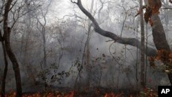 Wildfires burn in the Chiquitania Forest of Quitunuquina near Robore, Bolivia, Aug. 26, 2019.