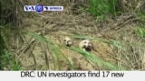 VOA60 Africa - UN investigators find 17 new mass graves in central DRC