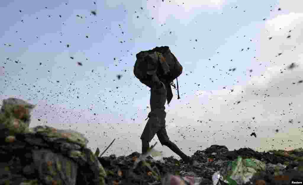 Insects and birds fly in a dump yard as a rag picker collects scraps in New Delhi, India.