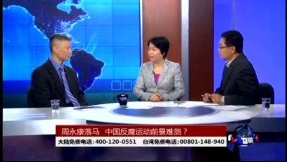 Voa卫视 14年7月29日第二小时节目