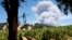 Una columna de humo del llamado Incendio del Río (River Fire) se aprecia detrás de un viñedo en Hopland, California, el lunes 30 de junio de 2018. Las evacuaciones por incendios en el norte del estado aumentaron a 15.000 al iniciar la semana.