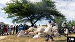 A man carries a full bag of donated maize grain, March 13, 2019, in the Mutoko rural area of Zimbabwe. Eastern Zimbabwe receives help to fight drought induced hunger, as a total of 32,000 villagers affected by drought in the Mutoko area. They received…