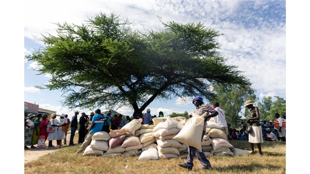 A man carries a full bag of donated maize grain, March 13, 2019, in the Mutoko rural area of Zimbabwe. Eastern Zimbabwe receives help to fight drought induced hunger as a total of 32,000 villagers affected by drought in the Mutoko area.