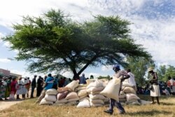 A man carries a full bag of donated maize grain, March 13, 2019, in the Mutoko rural area of Zimbabwe. Eastern Zimbabwe receives help to fight drought induced hunger as a total of 32,000 villagers affected by drought in the Mutoko area.