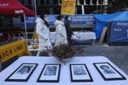 8일 서울의 일본대사관 주변에 작고한 한국의 위안부 피해 여성들의 사진이 놓여있다.