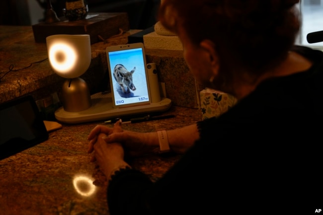 Deanna Dezern, 83, interacts with her ElliQ, a tabletop device that uses artificial intelligence to conduct human-like conversations, inside her home in Tamarac, Florida, on December 7, 2023. (AP Photo/Rebecca Blackwell)