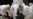 China: Man Dies of Bird Flu