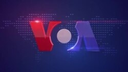 ပုရွတ်ဆိတ်မွေးမလား၊ တကောင်တည်းနေပြီး ဥဥတဲ့မြွေ