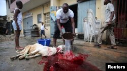 A man washes away blood after killing a ram to mark celebrations for Eid al-Adha in Lagos, Nigeria, October 15, 2013. 